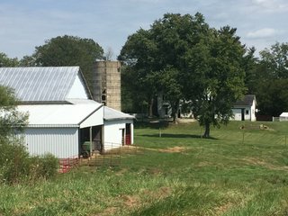 Property photo 14 - FARM AUCTION - 70.50+/- ACRES OFFERED IN 3 TRACTS IN WAYNE COUNTY, INDIANA